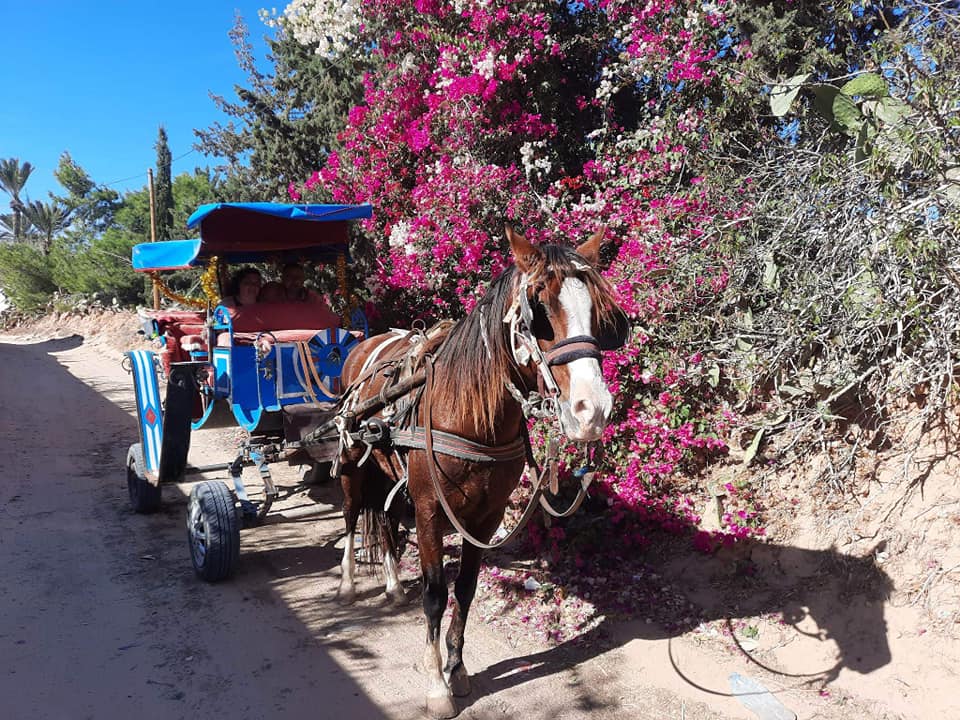 Caléche Lagune Djerba