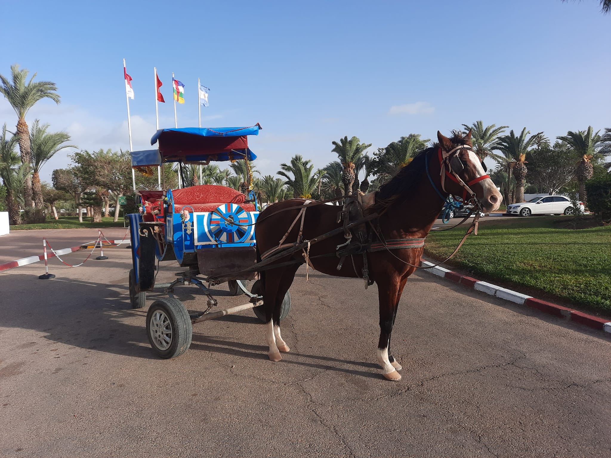 CALÉCHE LAGUNE DJERBA
