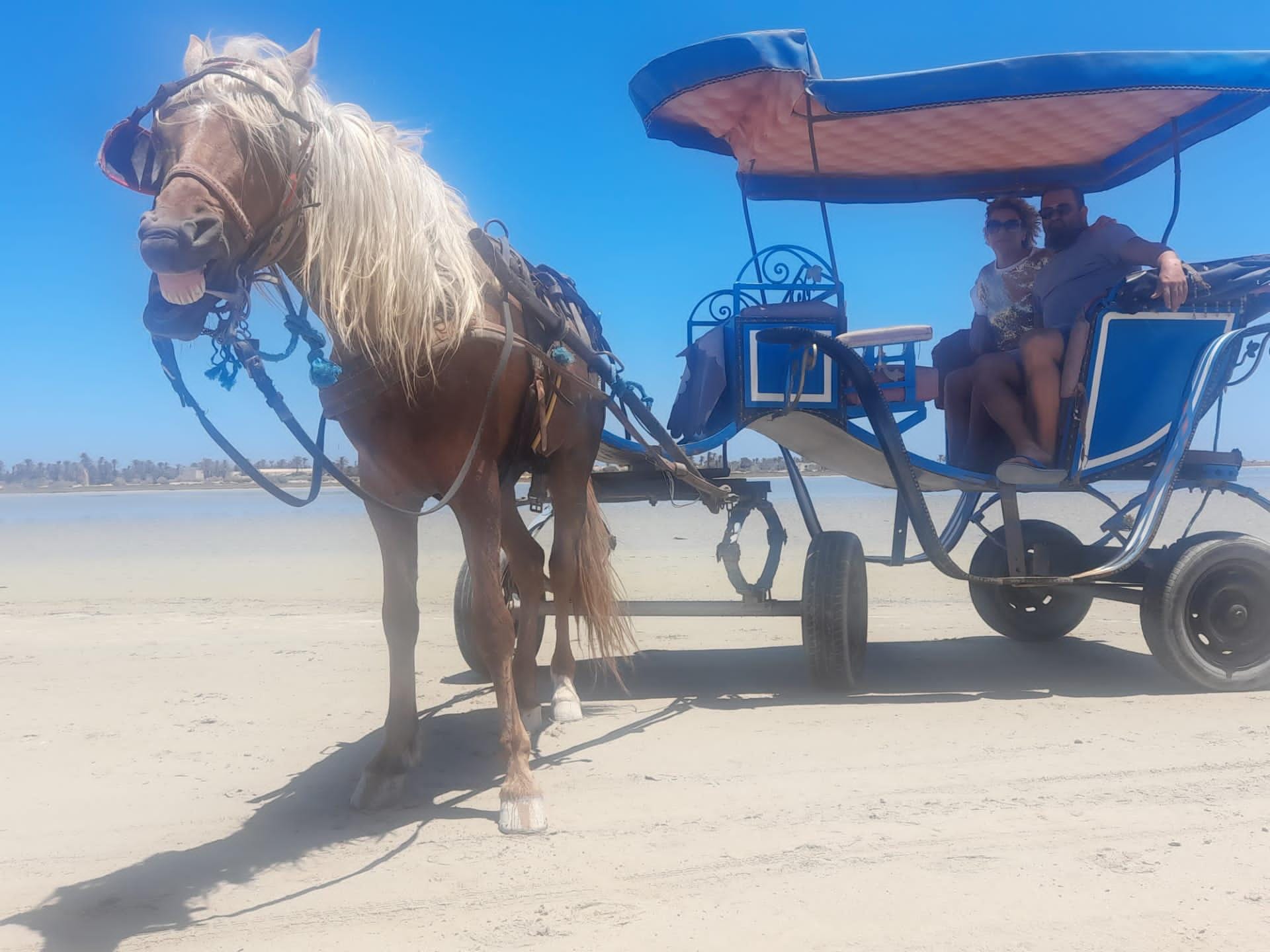 Caléche Lagune Djerba