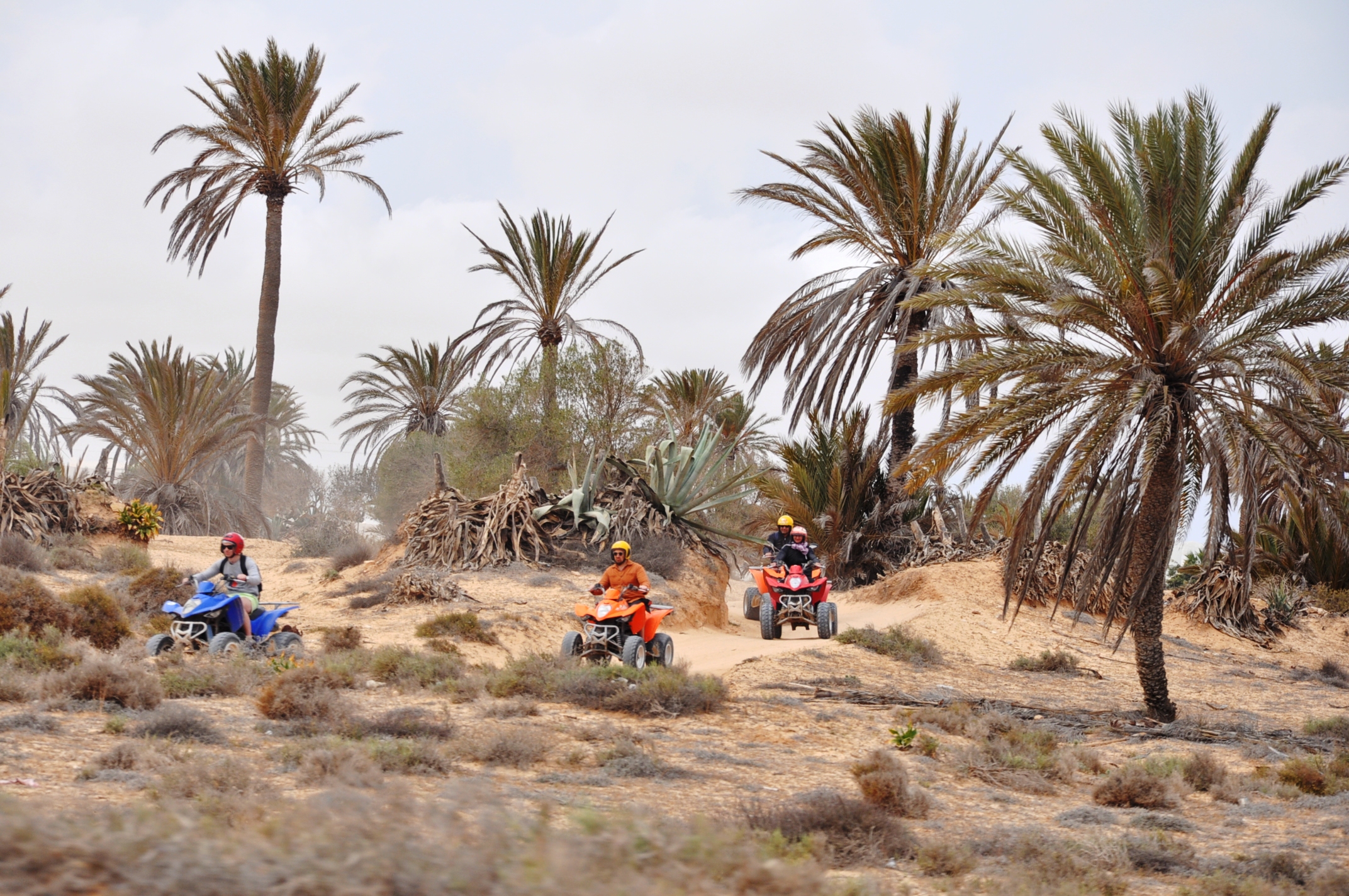 17066216671 dsc 0330