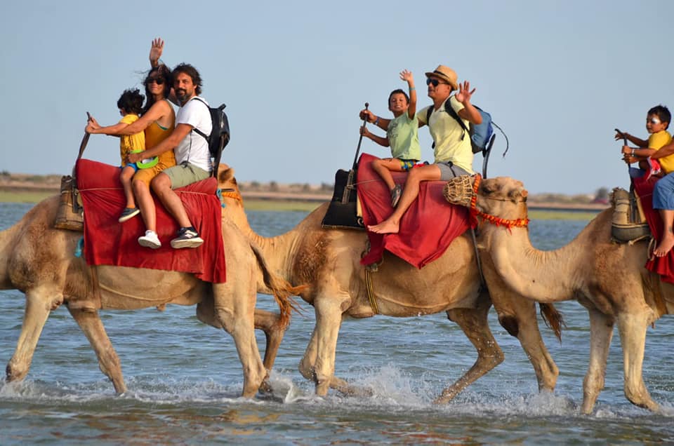 17066968511 304865316 445688790914827 6461152860972044918 n