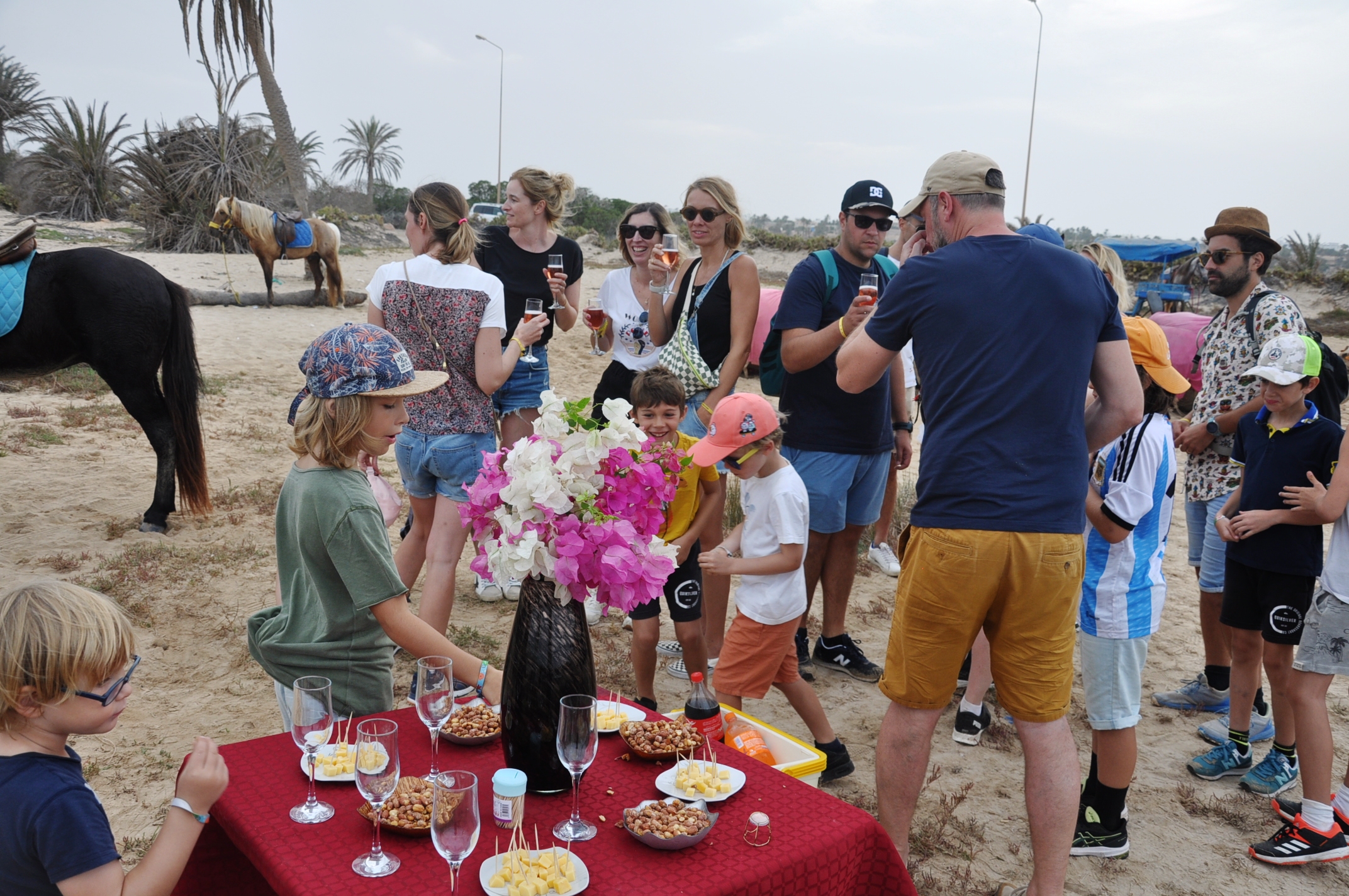 17067933541 dsc 0511