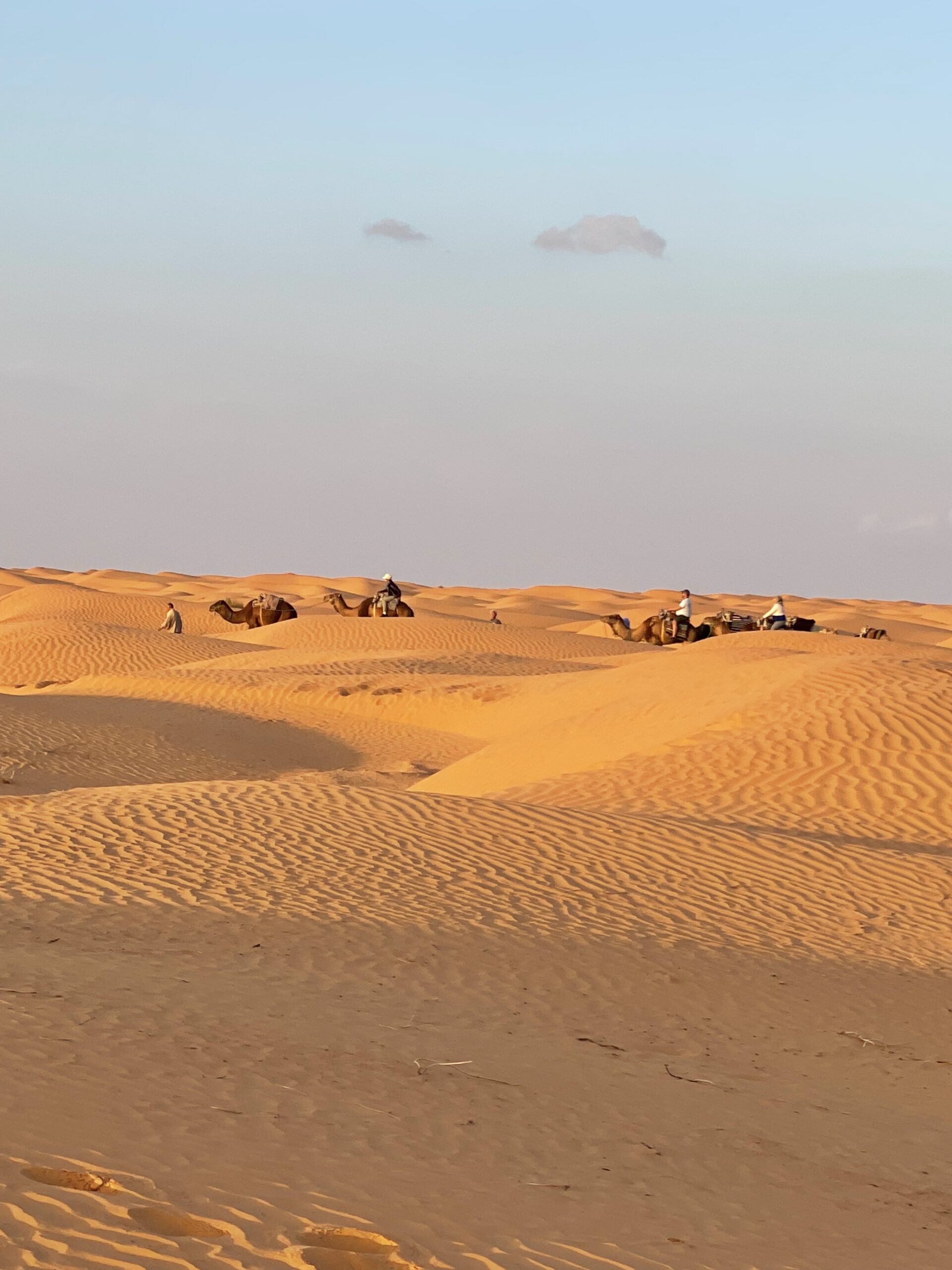 Desert Djerba