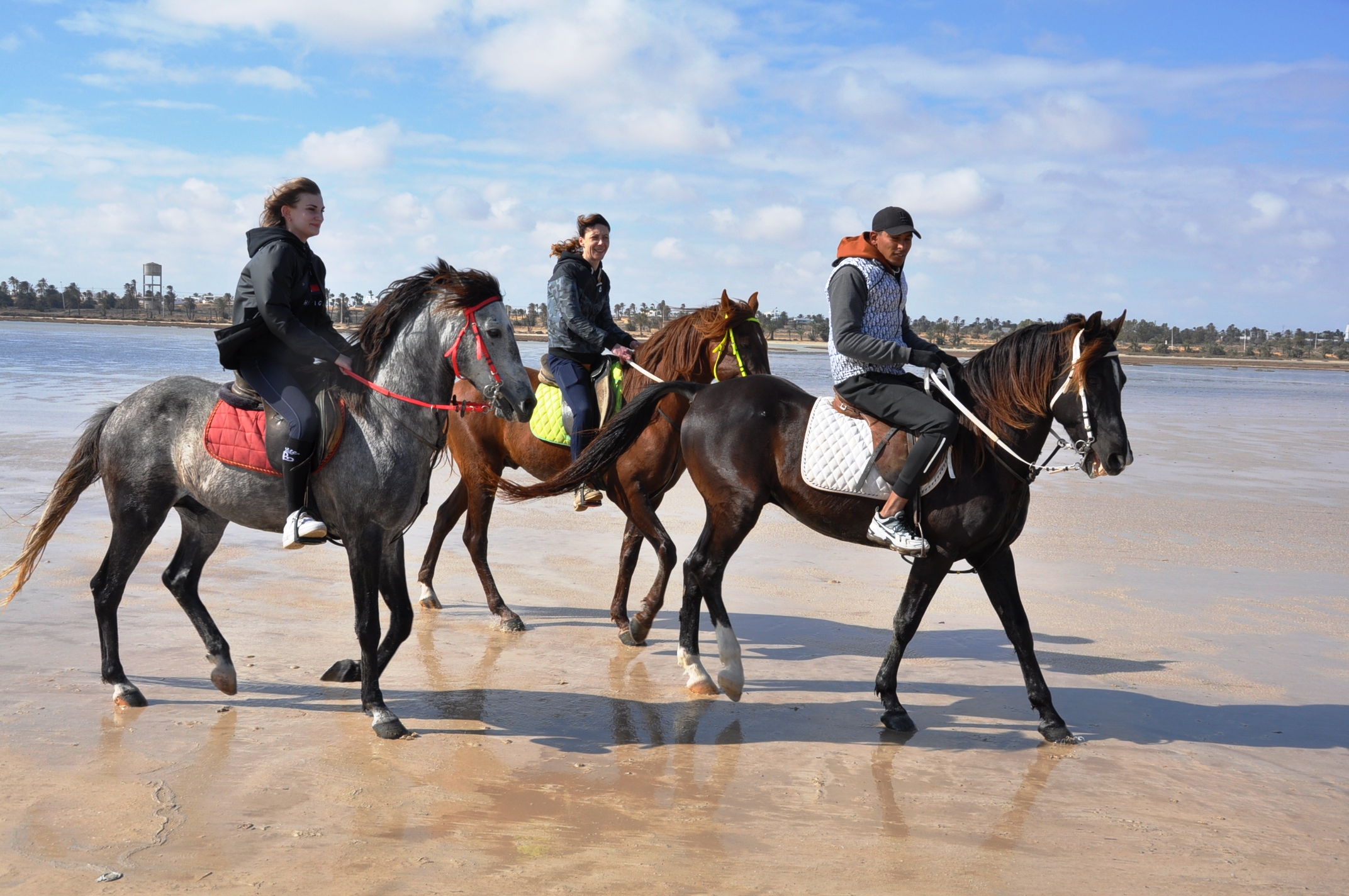 BALADE CHEVAL DJERBA