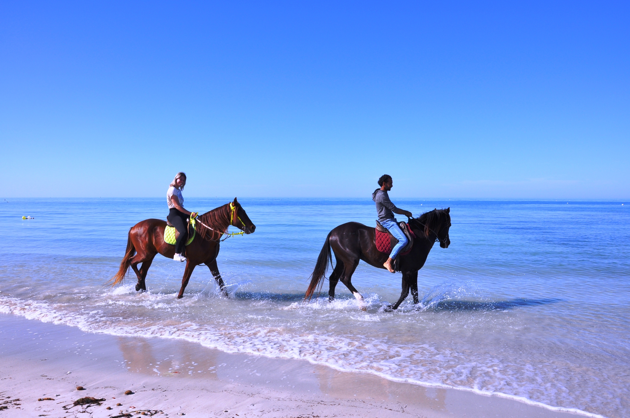 BALADE CHEVAL DJERBA