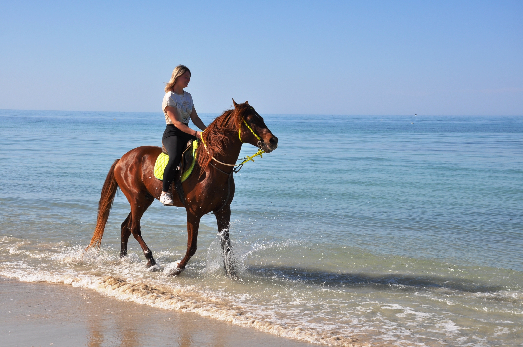 BALADE CHEVAL DJERBA