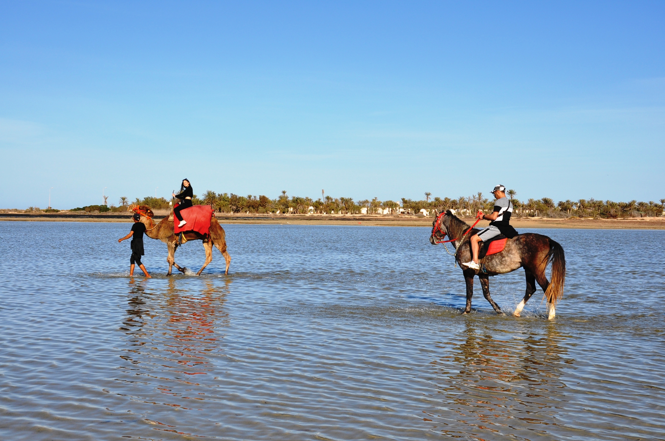 BALADE CHEVAL DJERBA