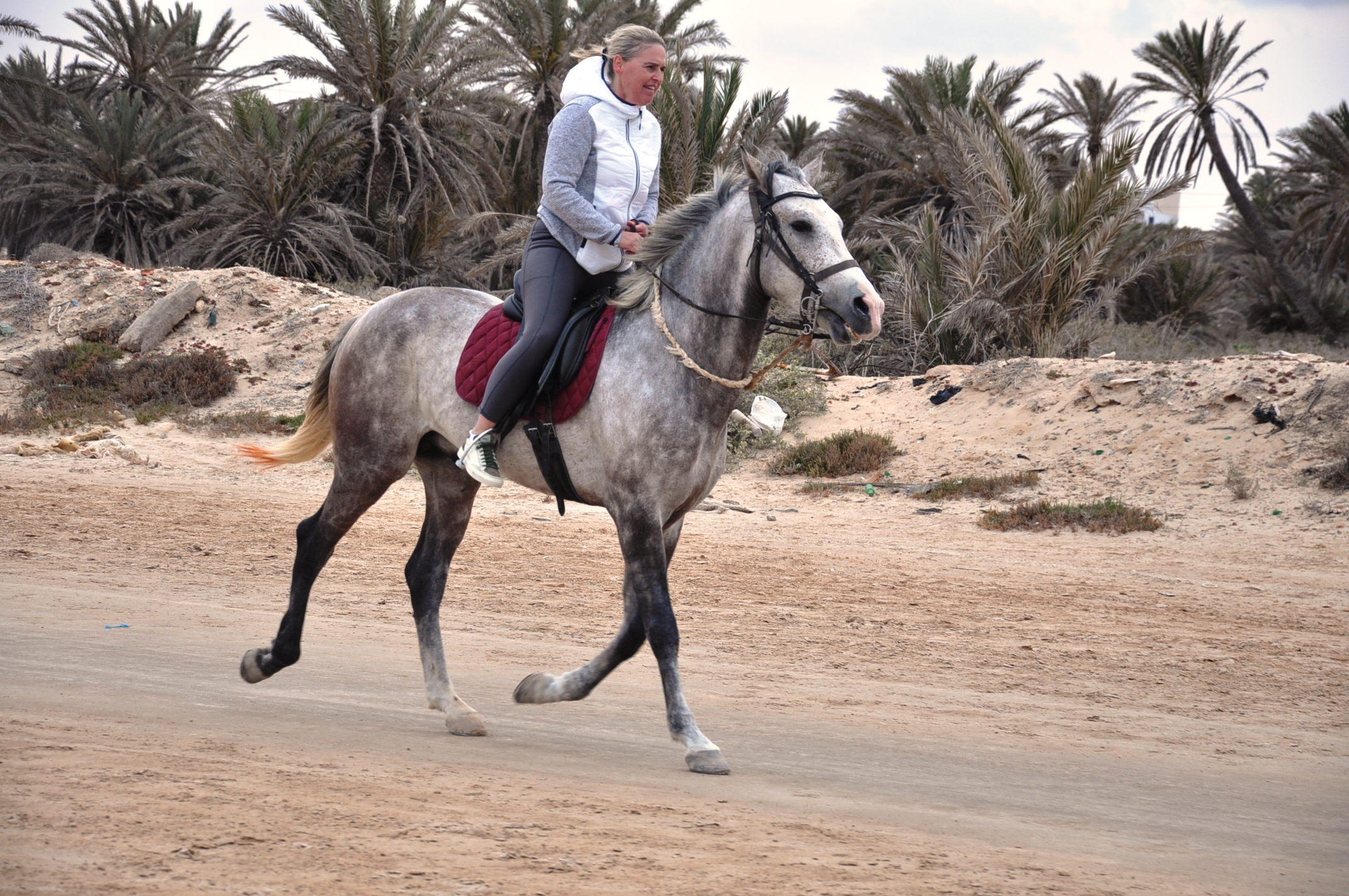 BALADE À CHEVAL DJERBA