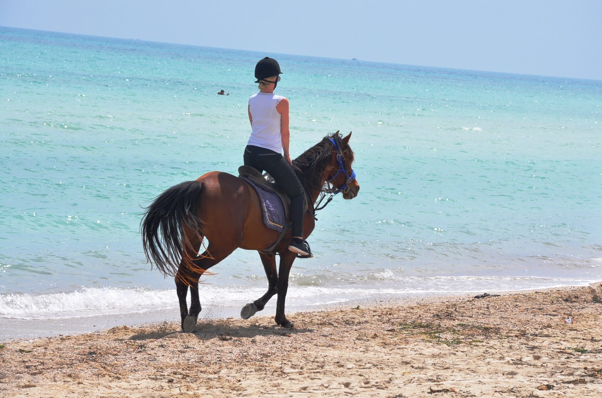 BALADE À CHEVAL DJERBA