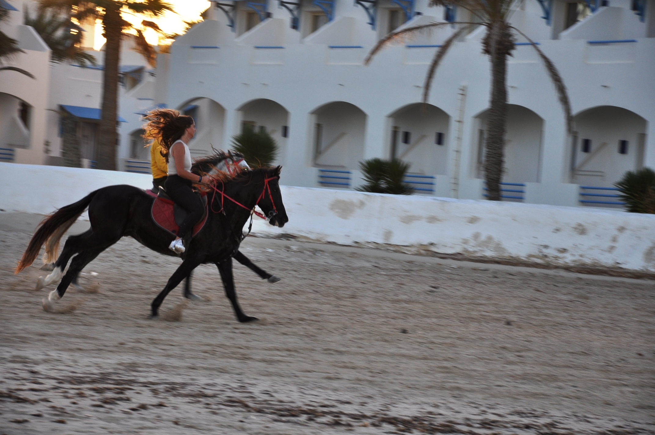 BALADE À CHEVAL DJERBA