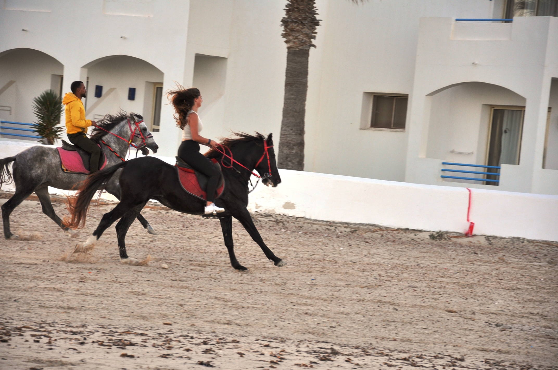 BALADE À CHEVAL DJERBA