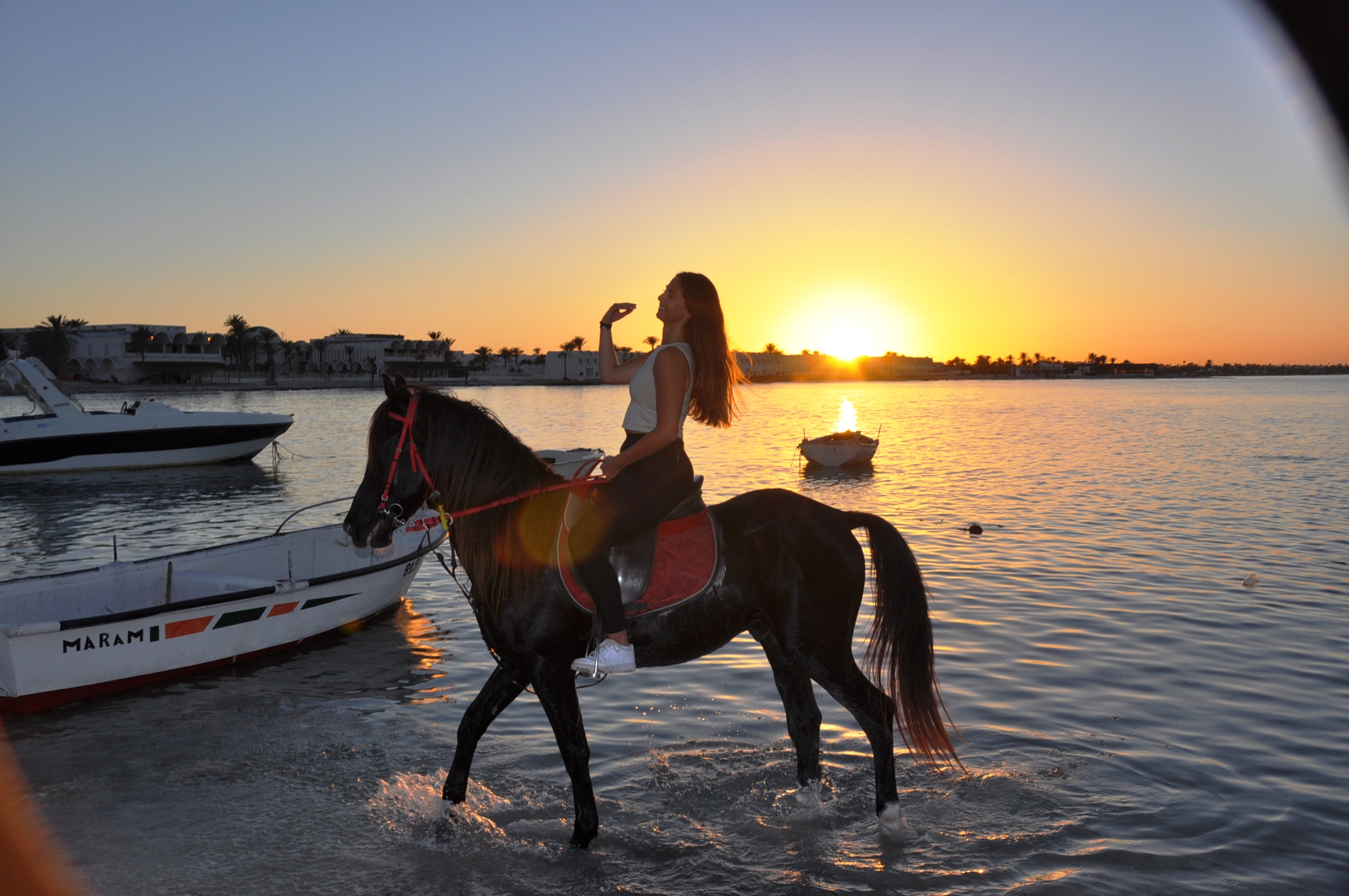 BALADE À CHEVAL DJERBA