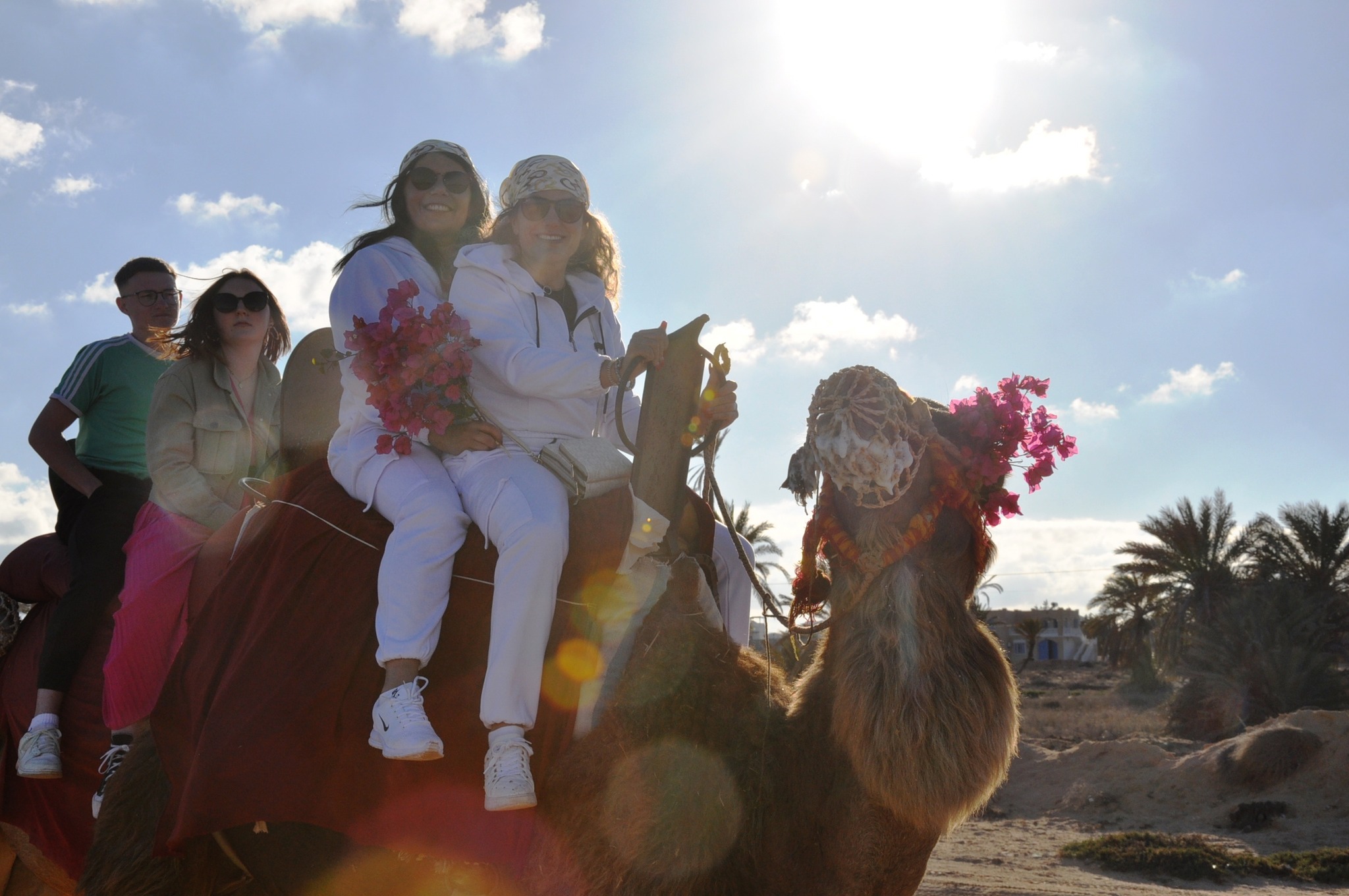 BALADE CHAMEAU DJERBA