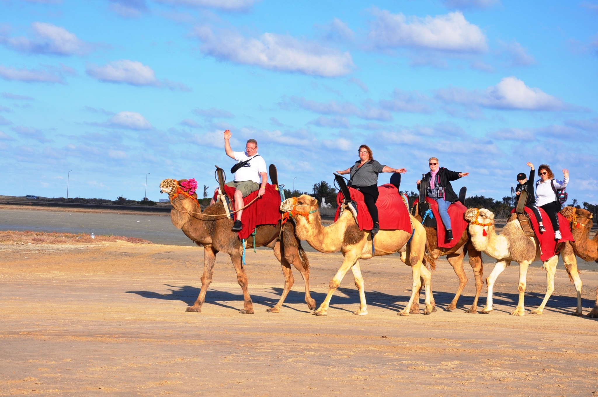 BALADE CHAMEAU DJERBA