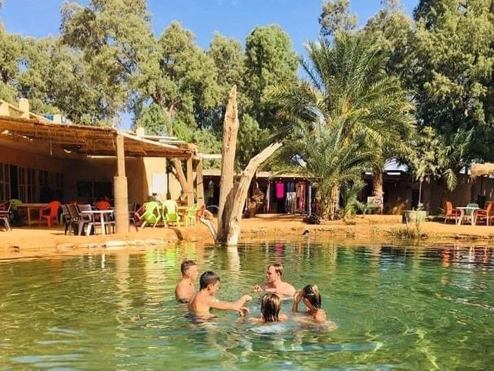 17066988261-128998162_3851730088184322_1067063573664011431_n