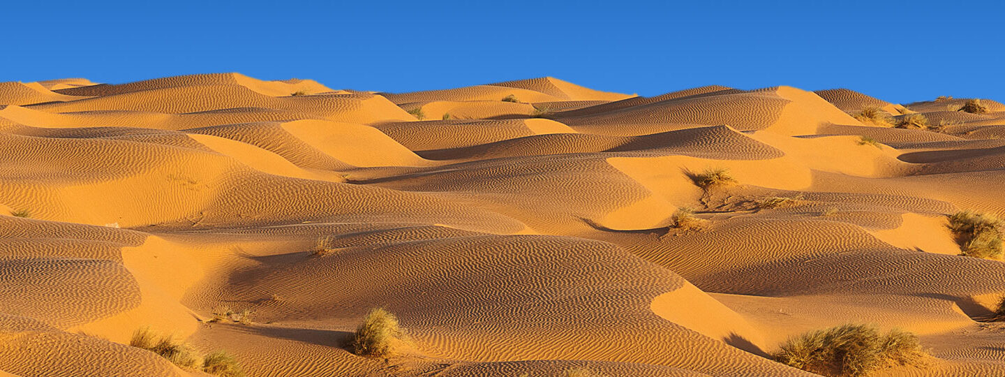 17066988261-270812-screen-desert10-1610-diapo