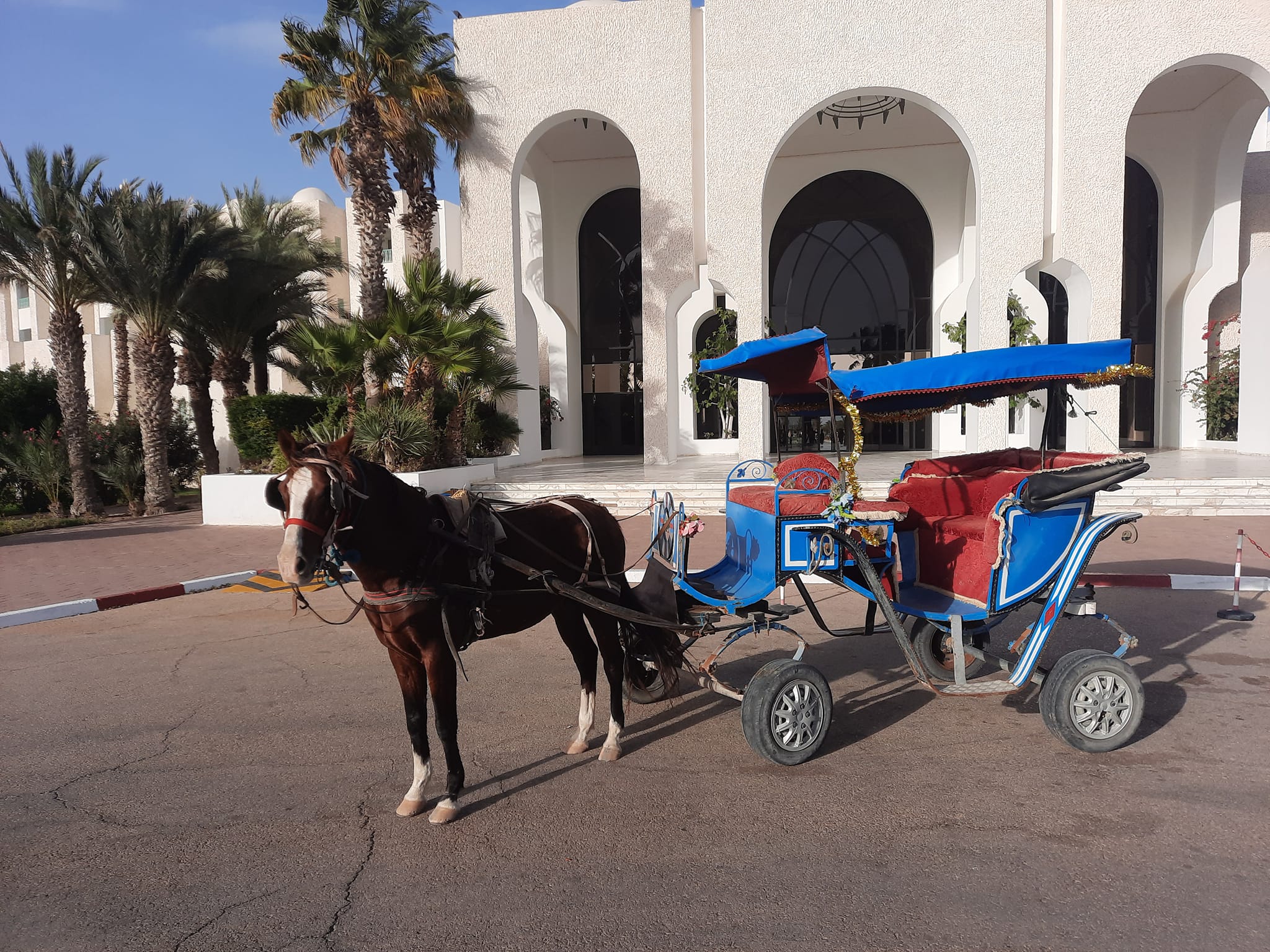 Caléche Lagune Djerba