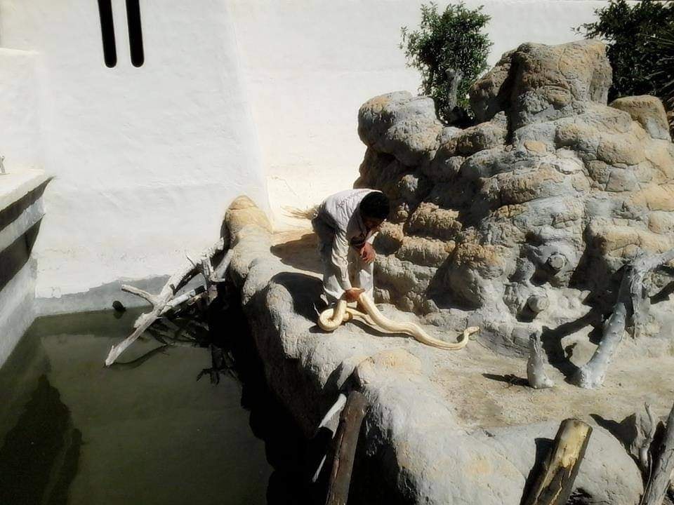 Parc crocodile Djerba