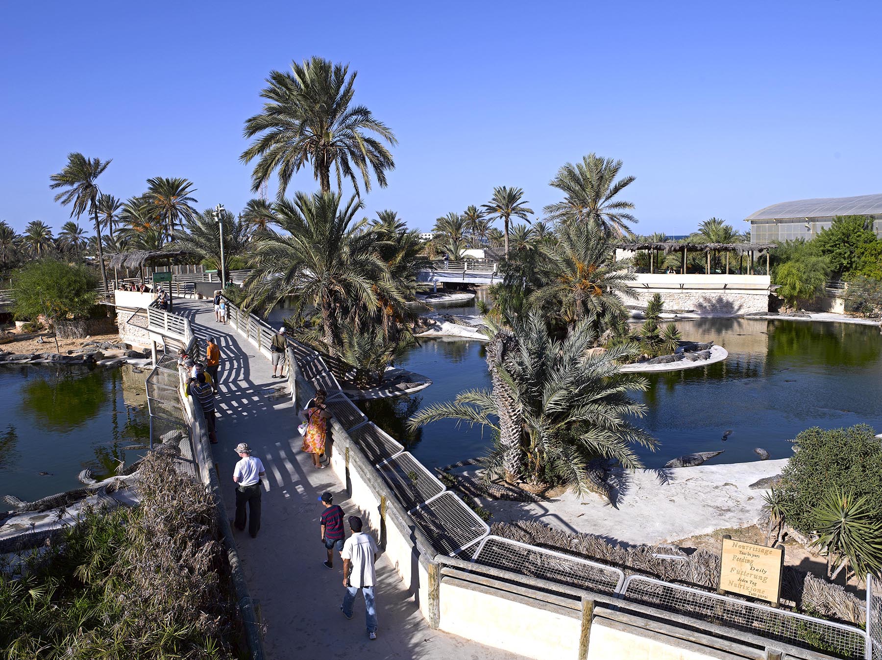 Parc crocodile Djerba