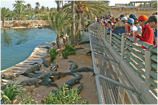 Parc crocodile Djerba