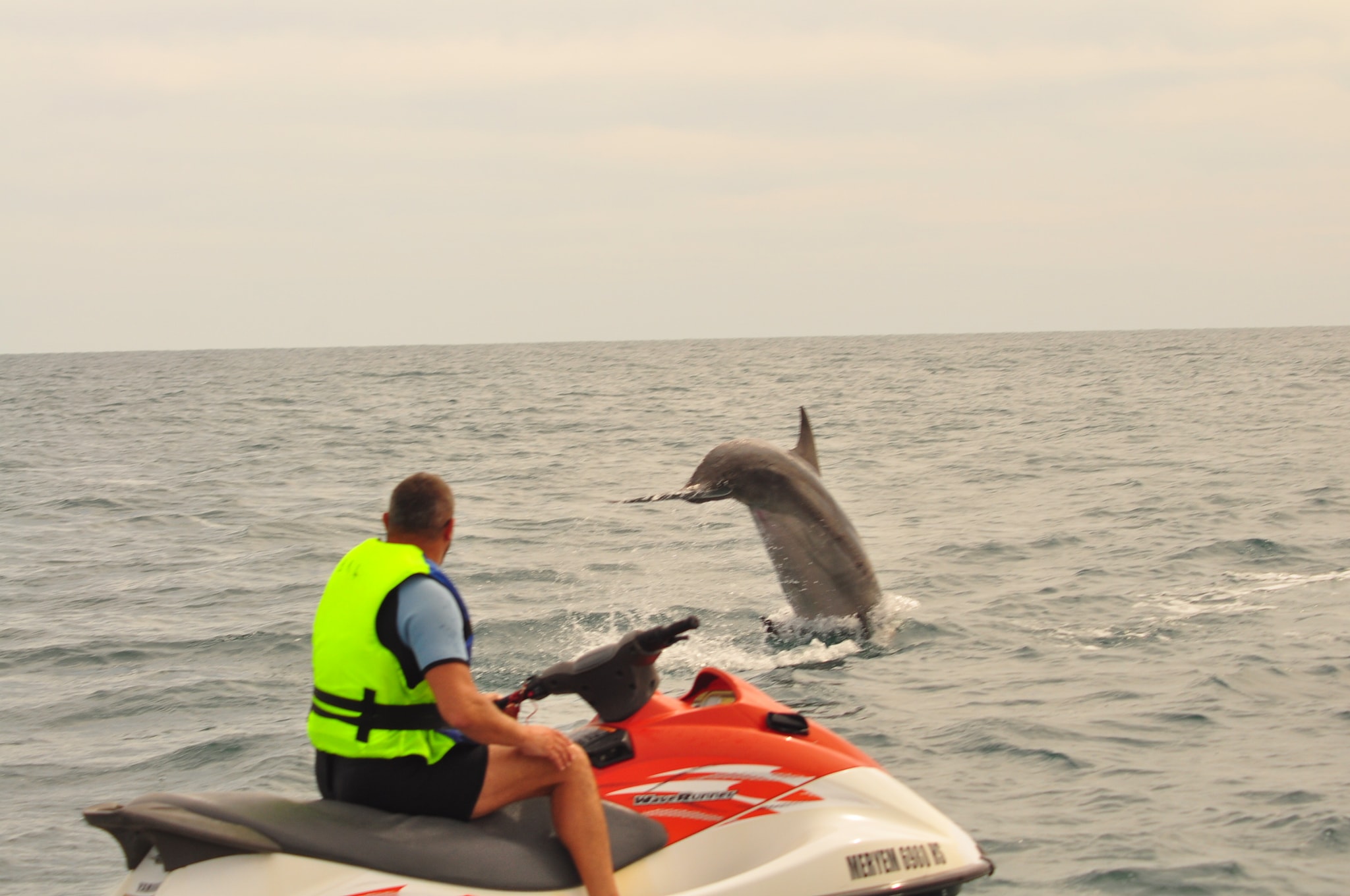 Jet Ski Dauphin Djerba