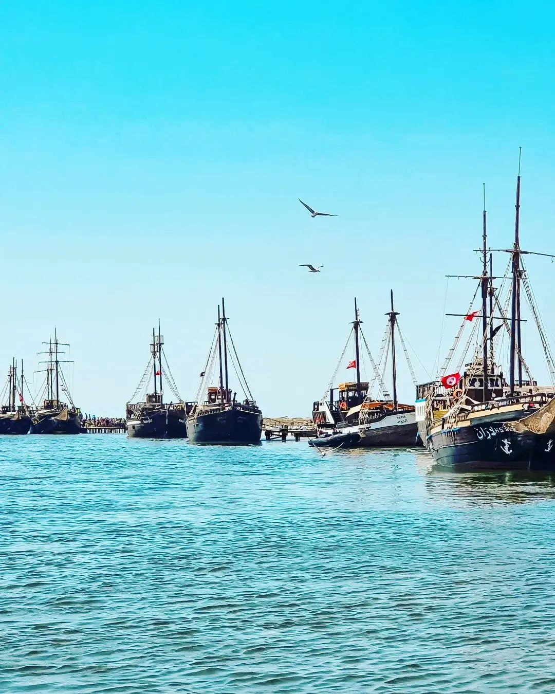 BATEAU PIRATE ÎLE FLAMANTS ROSE