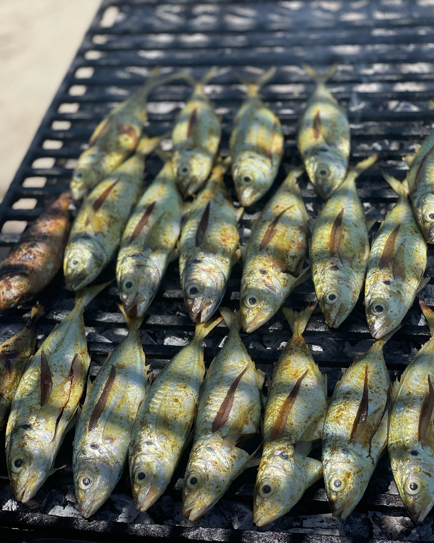 BATEAU PIRATE ÎLE FLAMANTS ROSE